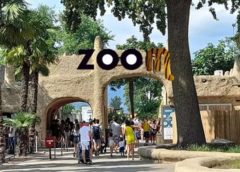 Billet entrée parc animalier Zoom Torino en Italie moins cher