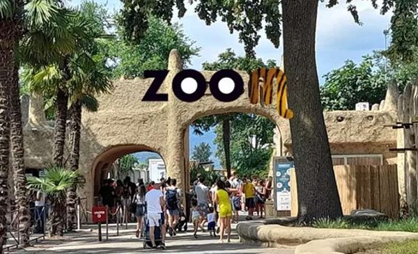 Billet entrée parc animalier Zoom Torino en Italie moins cher