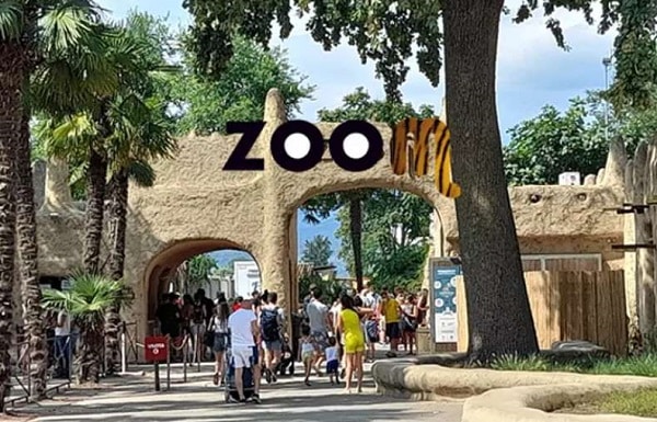 Billet entrée parc animalier Zoom Torino en Italie moins cher