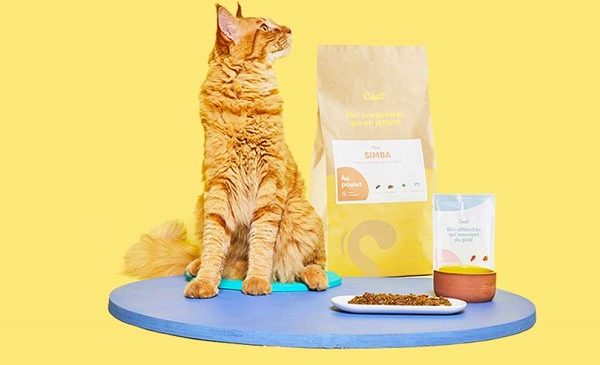 50% de remise sur votre première commande de menu personnalisé pour chats caats