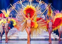 Cabaret Music-Hall Le Paradis des Sources moins cher