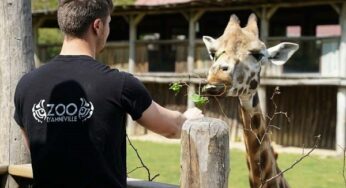 Vente privée billet entrée pour le Zoo Amnéville : 21,90€ tarif enfant, 26,50€ tarif adulte