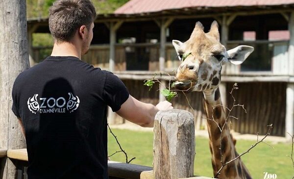 vente privée billet entrée pour le zoo amnéville