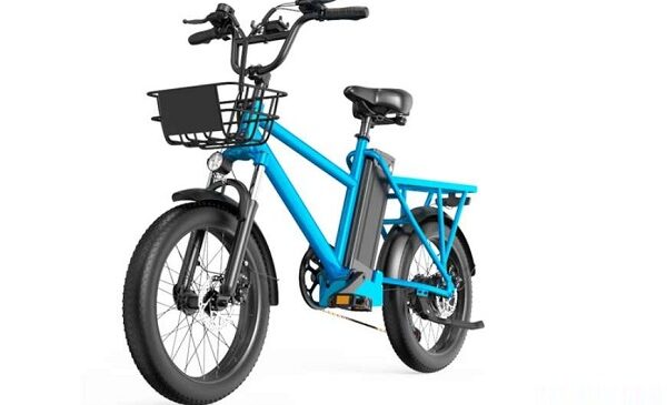 vélo électrique 20 pouces 500w duotts c20 avec porte bagage et panier