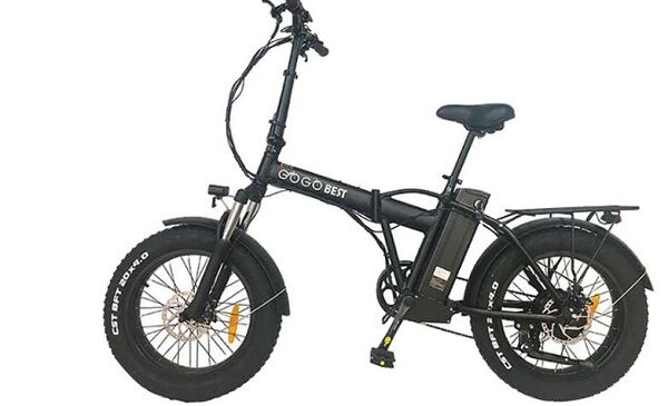 bonne affaire vélo électrique 1000w fat bike gogobest gf300