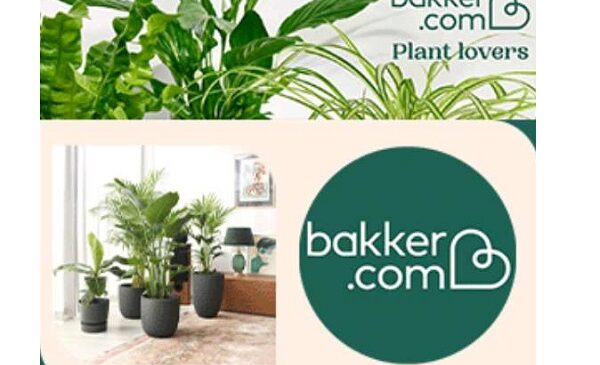 15€ de remise sur le site bakker (jardinerie en ligne