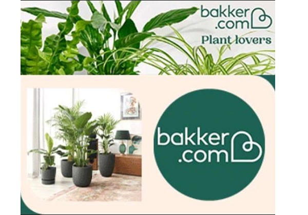 10€ de remise sur le site Bakker (jardinerie en ligne) dès 49€ d’achats