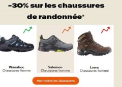 Chaussure randonnée store go sport