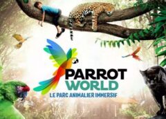 billet entrée parc animalier parrot world pas cher