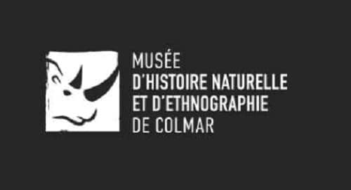 entrée moins chère pour le musée d'histoire naturelle et d'ethnographie de colmar