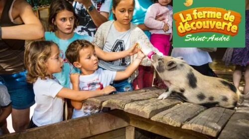 billet d'entrée pour la ferme de découverte saint andré moitié prix