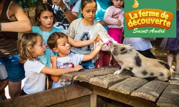 billet d'entrée pour la ferme de découverte saint andré moitié prix