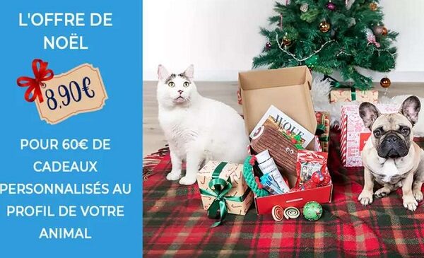 animal box de noël