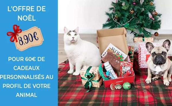 animal box de noël