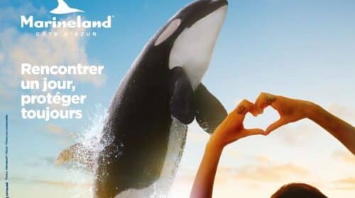 Bon plan Séjour Marineland : 1 nuit pour 2 ou 4 pers. à partir de 165€ (avec petit-déjeuner et entrée inclue)!