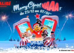 billet d’entrée walibi rhône alpes