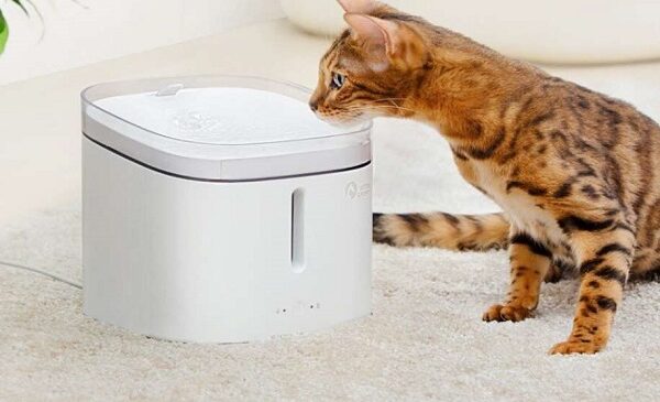 distributeur d'eau pour animaux silencieux et connectée pawbby 2l