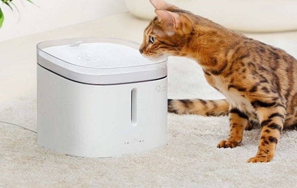 30,84€ le distributeur d’eau pour animaux silencieux et connectée Pawbby 2L (appli Mi Home)