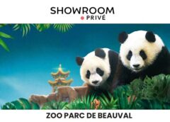 Séjournez aux Pagodes de Beauval avec entrée au ZooParc de Beauval pour pas cher