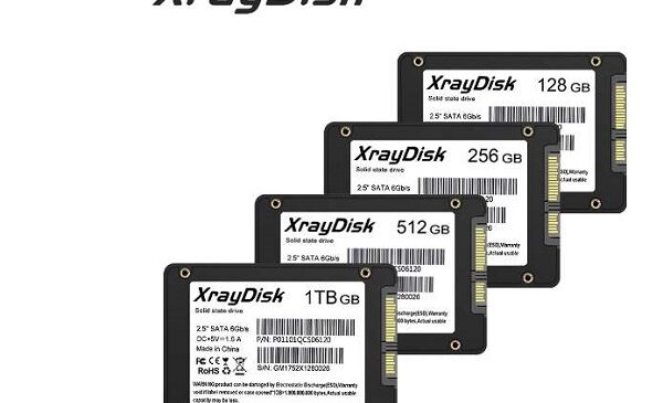 disque dur interne ssd sata 3 de 120 go xraydisk