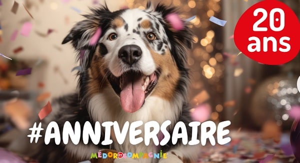 Médor & Compagnie célèbre ses 20 ans et offre 20% de remise sur tout le site !