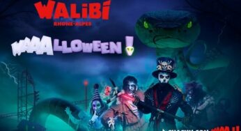 Entrée journée Waaalloween au parc Walibi Rhône-Alpes : 29€ (tarif unique)