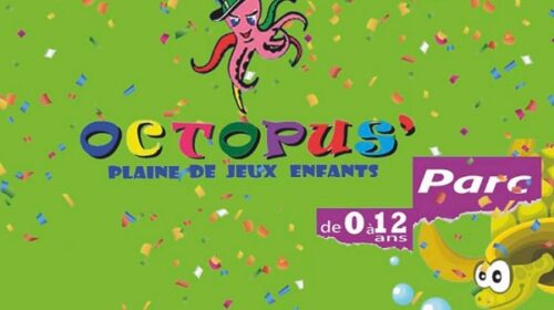 Entrée pour Octopus Parc de Caudry moins chère : à partir de 3€