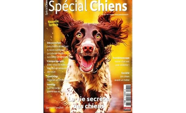 abonnement au magazine spécial chiens pas cher