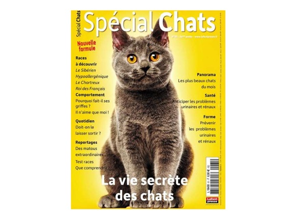 Abonnement magazine Spécial Chats pas cher