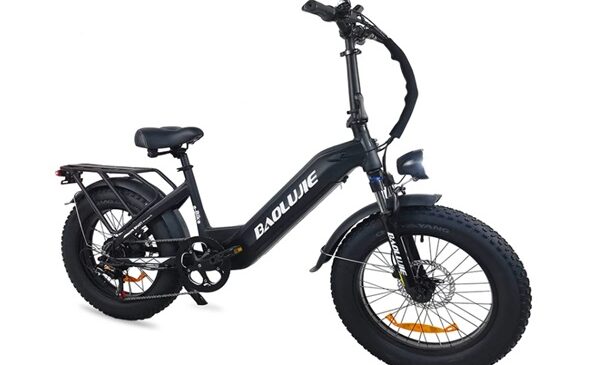 Vélo électrique pneus larges 20 pouces 500W BAOLUJIE DP2003 en promotion 899,99€