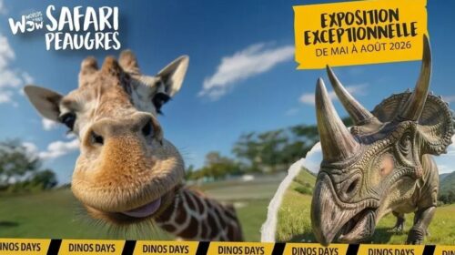 Entrée au Safari de Peaugres pas chère : 24,5€ (tarif unique) au lieu de 32,90€