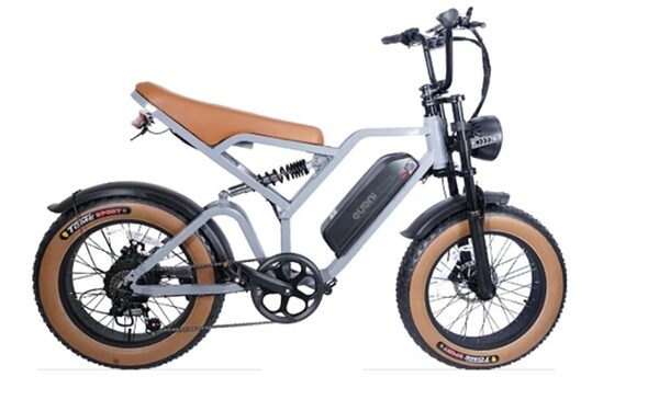 confortable et puissant vélo électrique tout terrain eueni fxh009 pro en promo