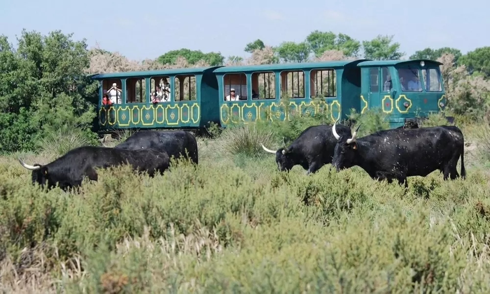 billet petit train de mejanes en camargue pas cher