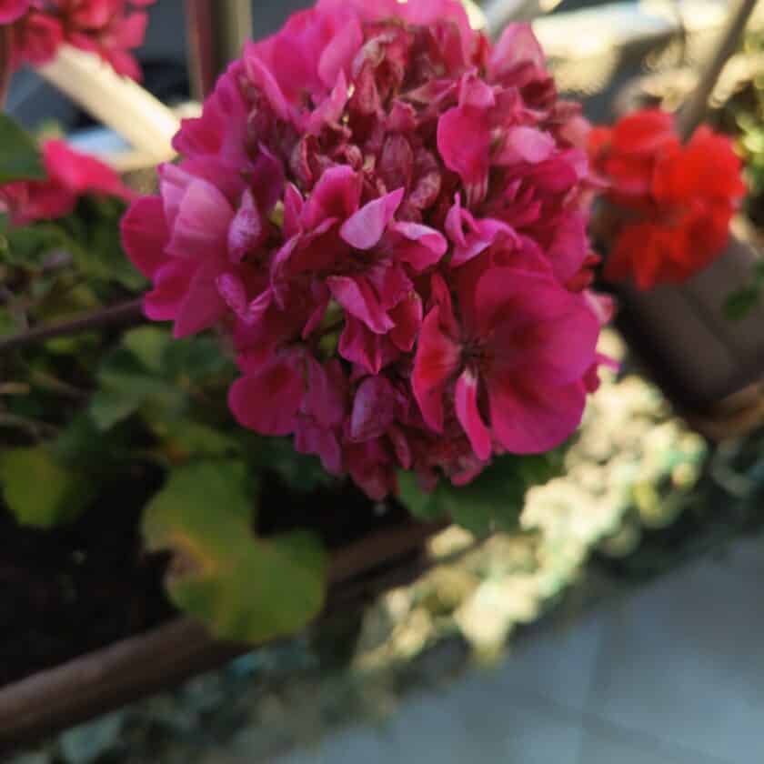 img 20240625 190542 910