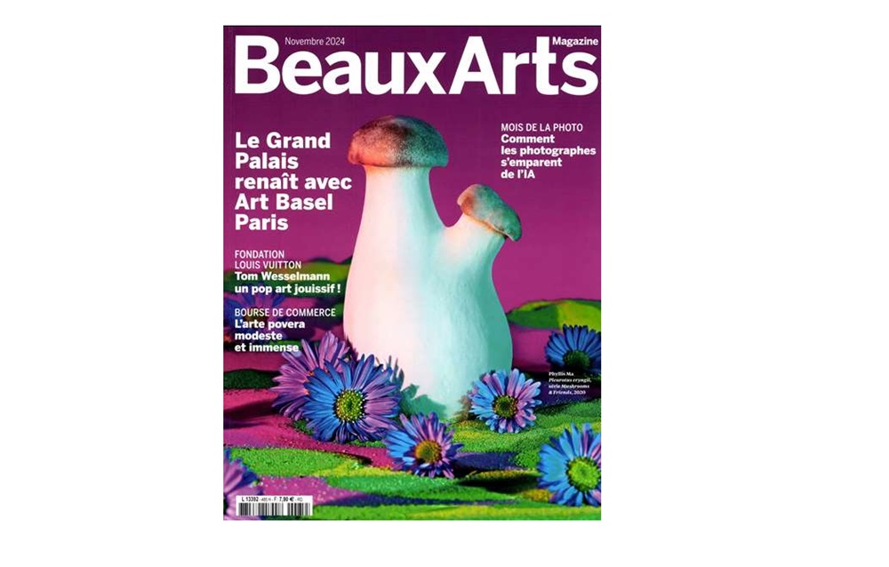 abonnement beaux arts magazine pas cher