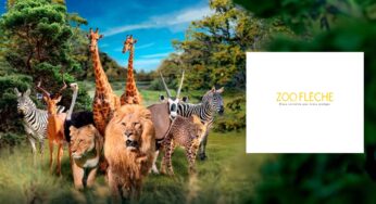 Billet Zoo de La Flèche moins cher ! 15,5€ enfant / 20,5€ adulte (au lieu de 21,5€ / 29,5€)