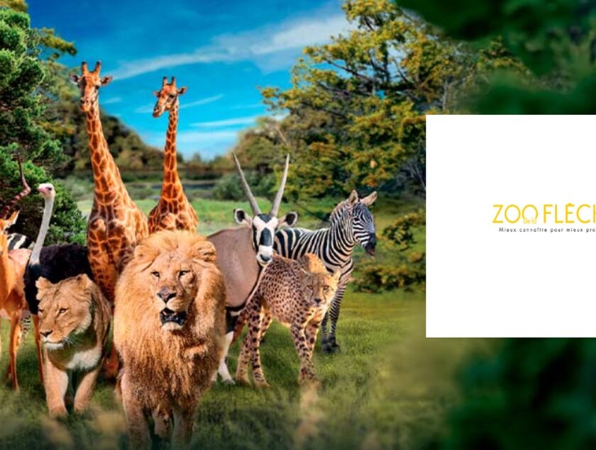 Billet Zoo de La Flèche moins cher