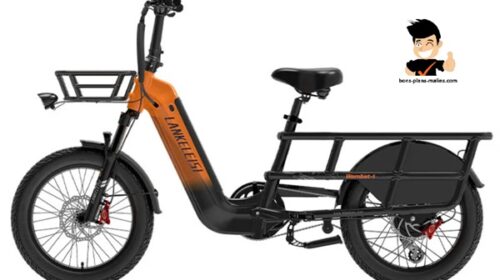 Promotion 1999€ le vélo électrique cargo longtail Lankeleisi Wombat-1 (meilleur prix)