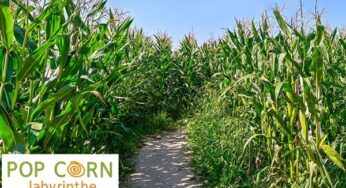 Tarifs réduits pour le Pop Corn Labyrinthe Toulouse : un défi pour toute la famille !