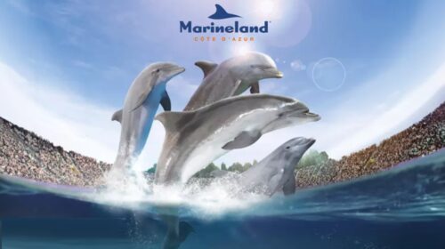 Entrée Marineland moins chère : à partir de 22,90€ (valable jusqu’au 5 janvier).