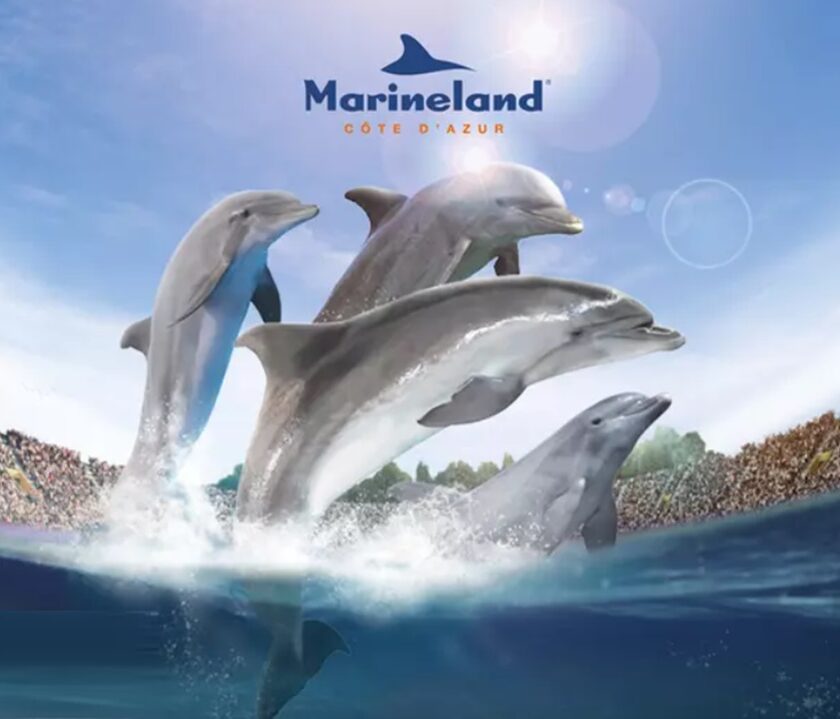 entrée marineland moins chère
