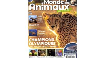 💥Abonnement au magazine Le Monde des Animaux pas cher 22€ l’année