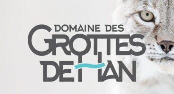 Domaine des Grottes Han pas cher : 31€ le PassHan (grotte + parc animalier) ou 22€ la grotte ou parc animalier seul