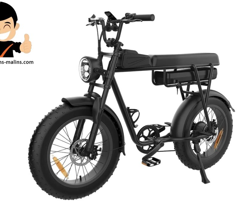 Promotion vélo électrique tout-terrain compact et puissant YAMALI FXH-006