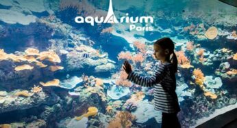 Aquarium de Paris pas cher : dés 16,90€ l’entrée nocturne avec boisson et 45€ Pass annuel