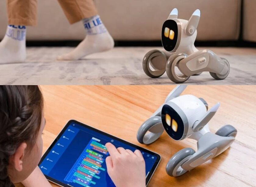 promotion chien robot loona epp3.0