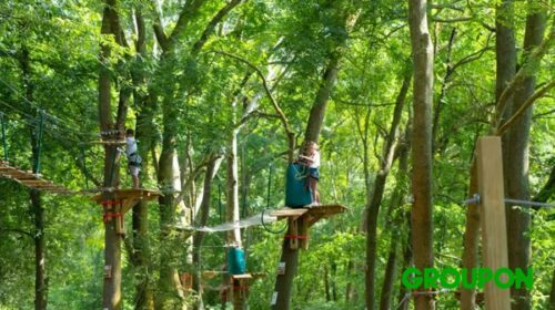 Bon plan parc Aventure de l’étang des loups : remises sur les entrées pour une journée pleine d’aventure près de Paris !