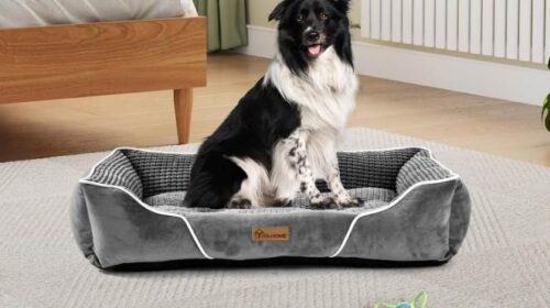 Offre limitée : grand panier déhoussable YITAHOME pour toutou à 29,99€ (89 x 64 cm) 🐶