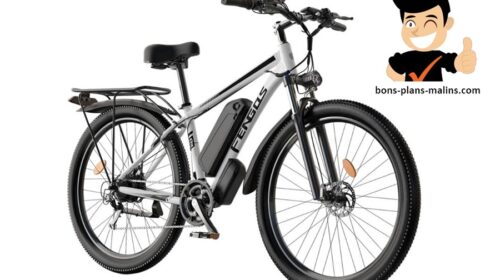 Promotion vélo électrique 750W FENGQS Q8 au petit prix de 849 € port inclus⚡