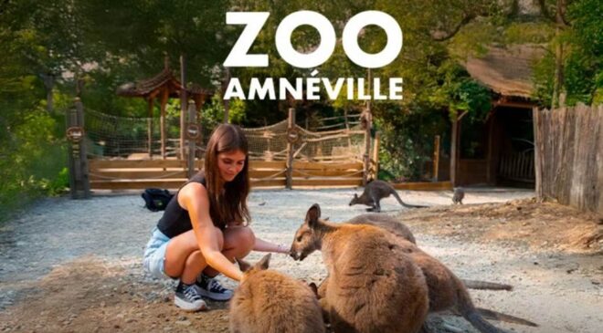 Vente privée billet entrée pour le Zoo Amnéville : 23,50€ tarif enfant, 28,50€ tarif adulte